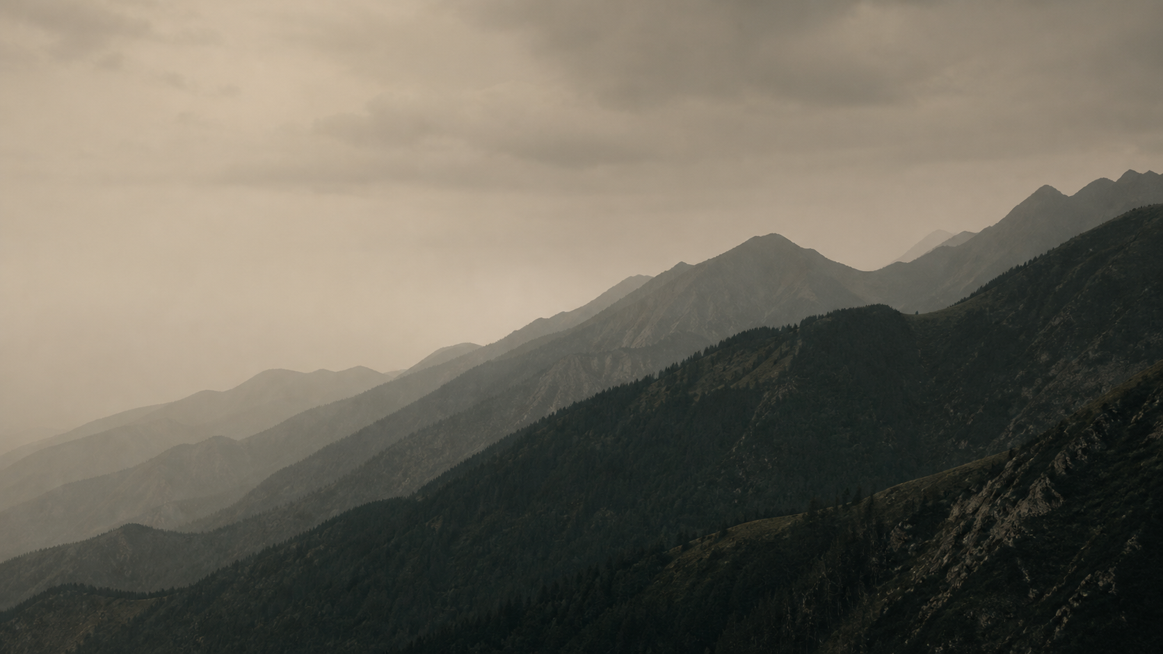 Layered European mountain terrain in muted forest green